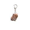 1PC Acrylic Cute Keychains Cats 2D Flat Backpack Ornament Accessories Cat Key Rings Creative Animal Key Holders Funny