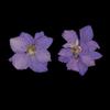 Pressed Dried Flowers Natural Dried Flowers for Candle and Soap Making Mini Dried Flower Bouquet for DIY Decorations