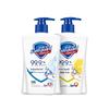 Safeguard Antibacterial Hand Wash Set