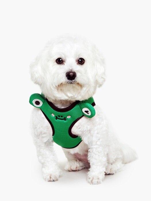 PET AROUND Froschgeschirr