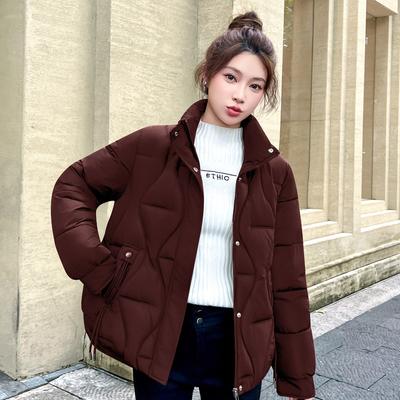 Plus Size Loose Puffer Jacket Winter Warm Thick Cotton Coat Korean Style Oversized Outwear