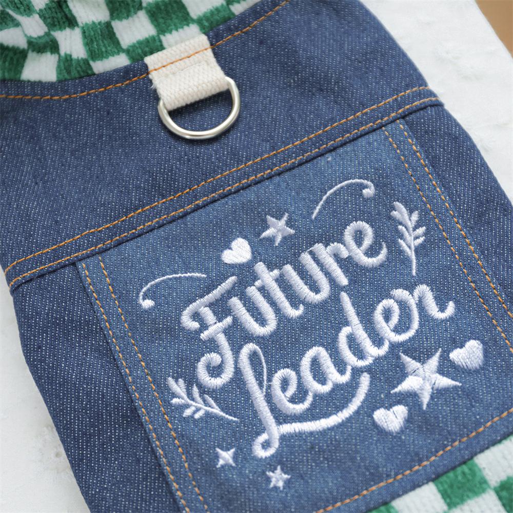 Klassische Karos Haustier Jeans Kleidung für Kleine Hunde Herbst Winter Welpen Hund Kapuzenmantel Jacke Zwergspitz Pudel Haustiere Kleidung