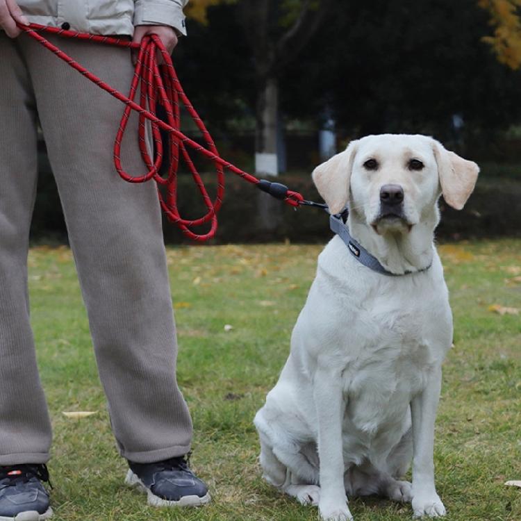 Extra Long Dog Leads 5M 10M With Soft Padded Handle And Reflective Design Perfect For Recall Training