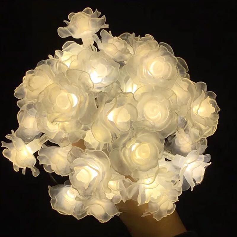 

Etravel Rose Flower LED String Lights