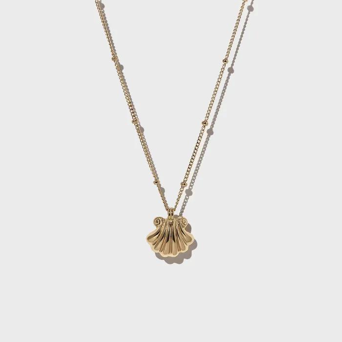 Shell Necklace
