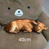 3D Printed Pig Stuffed Plush Pillow Realistic Soft Skin Friendly Fabric Cute Cushion for Sofa Bed Holiday Gift for Kids