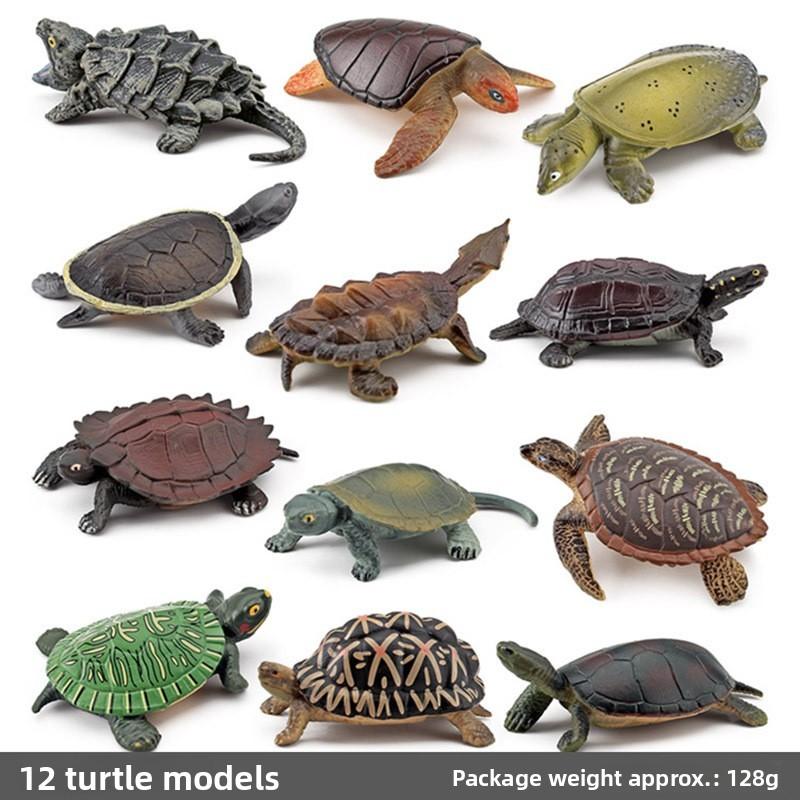 Aquatic Reptile Tortoise Pvc Model Set With Realistic Detailing For Educational Collection