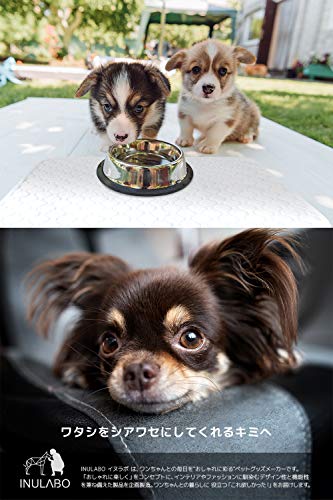 INULABO Washable Pet Sheet, Large Pee Mat, Fully Washable and Reusable, Heavy-Duty (4XL, 165*122cm, Gray)