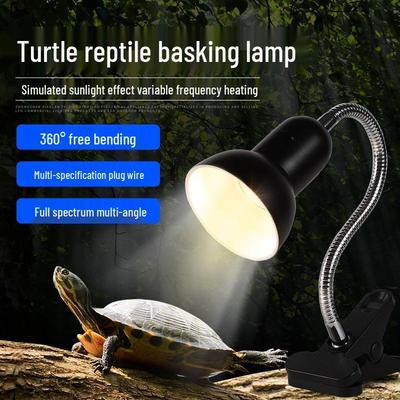Reptile – Terarii pentru reptile