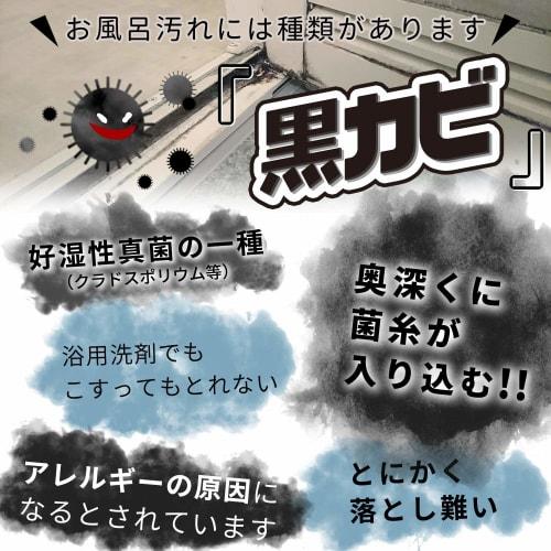 LEC Super Clean Schimmelentferner für Badezimmer, Polierbürste mit Schleif- und Weichbürste (3er Set) S00116