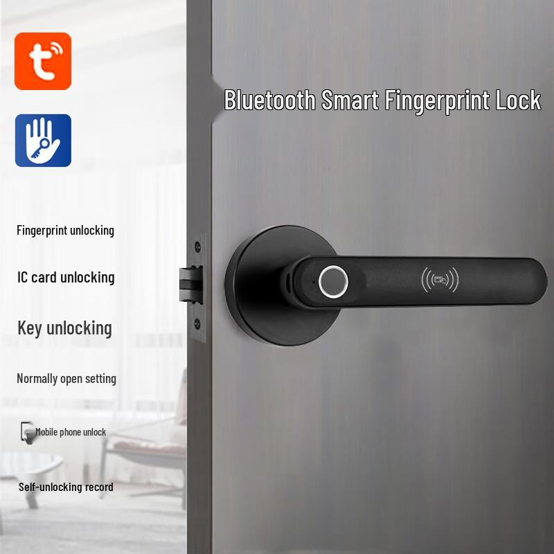 ZHOUYUEHENGSHENG T33 Smart Fingerprint Spherical Indoor Door Lock