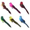Artificial Bird Three-dimensional Eyes Long Tail Realistic Colorful Fake Animal Bird Garden Prop Decoration for Home