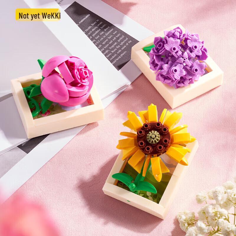 Unji Collectible Building Block Kits