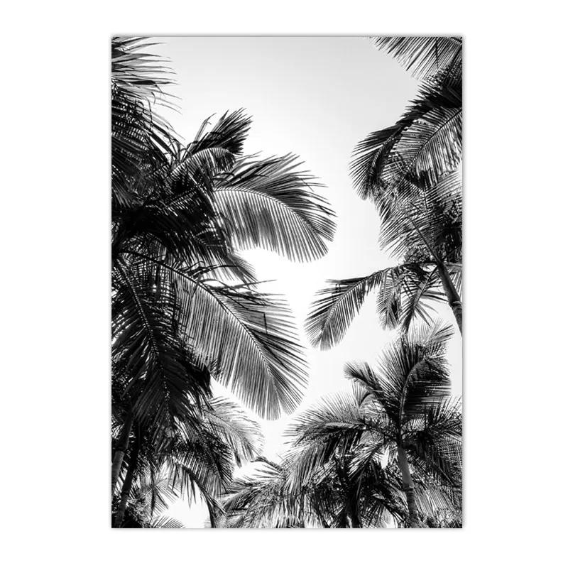 Black And White Posters Bridge Boat Palm Tree Canvas Print Pictures Conch Wall Art Sea Wave Poster Nordic Picture Bedroom Decor