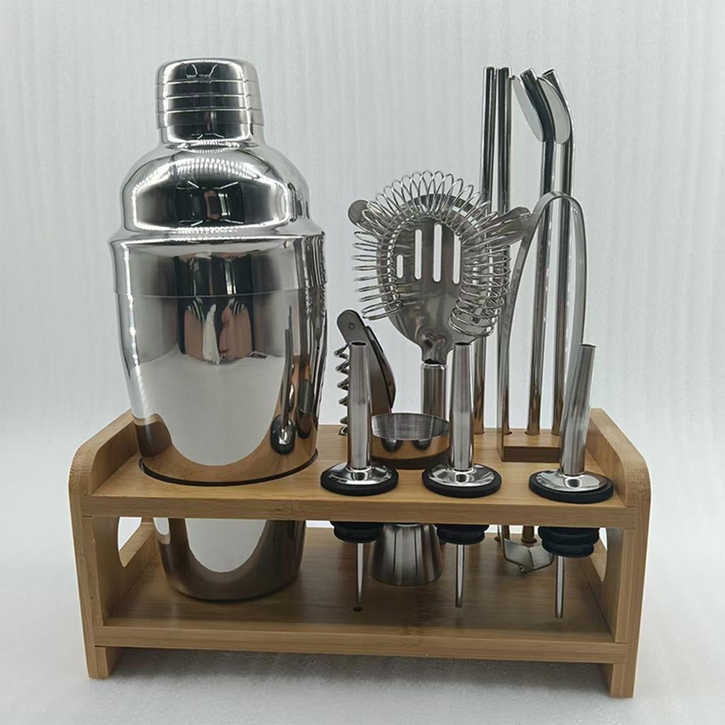13 Piece Stainless Steel Cocktail Shaker Set,Bar Tool Kit for Home and Party
