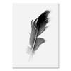 Black and White Feather Wall Art Pictures Modern Dandelion Quotes Canvas Painting Nordic Posters for Living Room Home Decor
