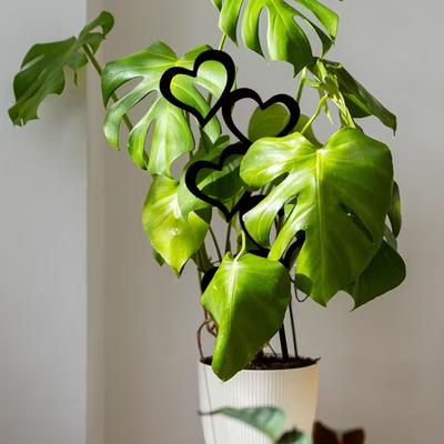Heart Shape Garden Stake Iron Trellis for Decoration Plant Support Simple Ground Insertion Rusts Proof Materials