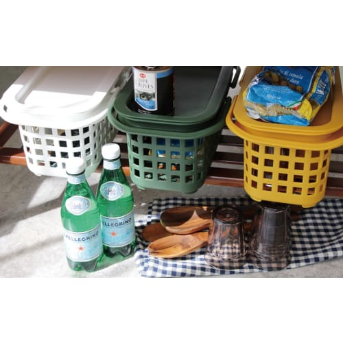 Hachimankasei Sceltevie Cestino Cavaccio RD S 238164