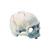 KX4B Resin Skull Figurine Reptiles Hideouts Caves Fishtanks Terrariums Accessories for Geckos Bearded Dragon Snake