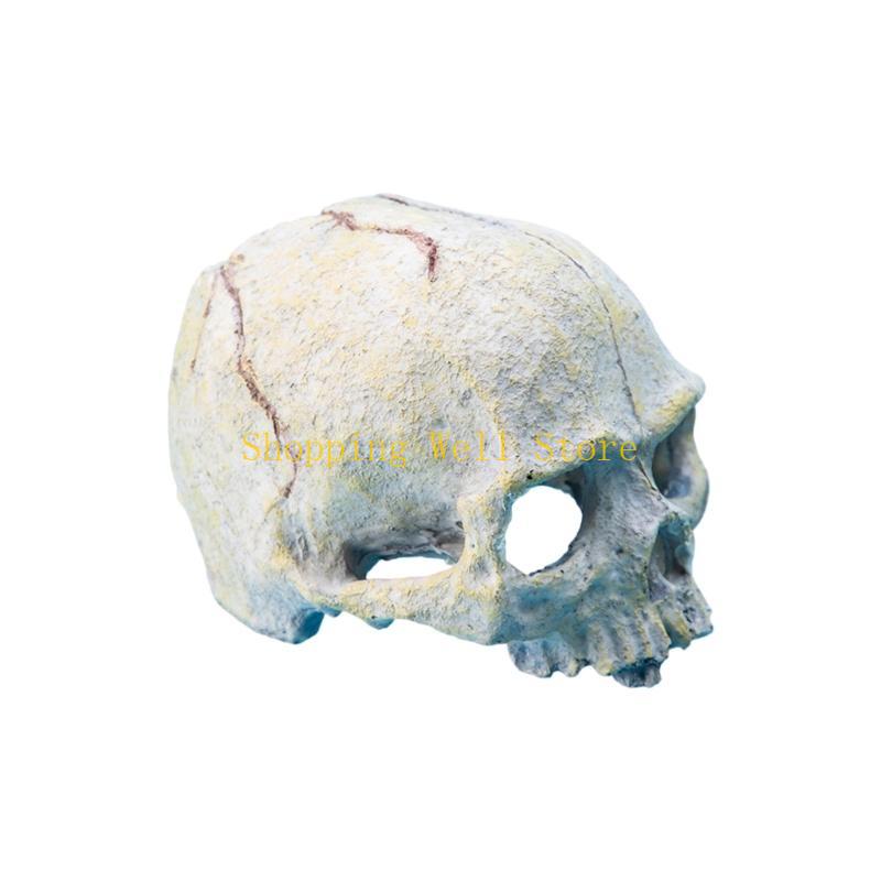 KX4B Resin Skull Figurine Reptiles Hideouts Caves Fishtanks Terrariums Accessories for Geckos Bearded Dragon Snake