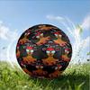 Delta Sigma Theta Size 5 Soccer Ball,Indoor/Outdoor Suitable for Training Matches Tournaments Practice Games Perfect Gift for Fan