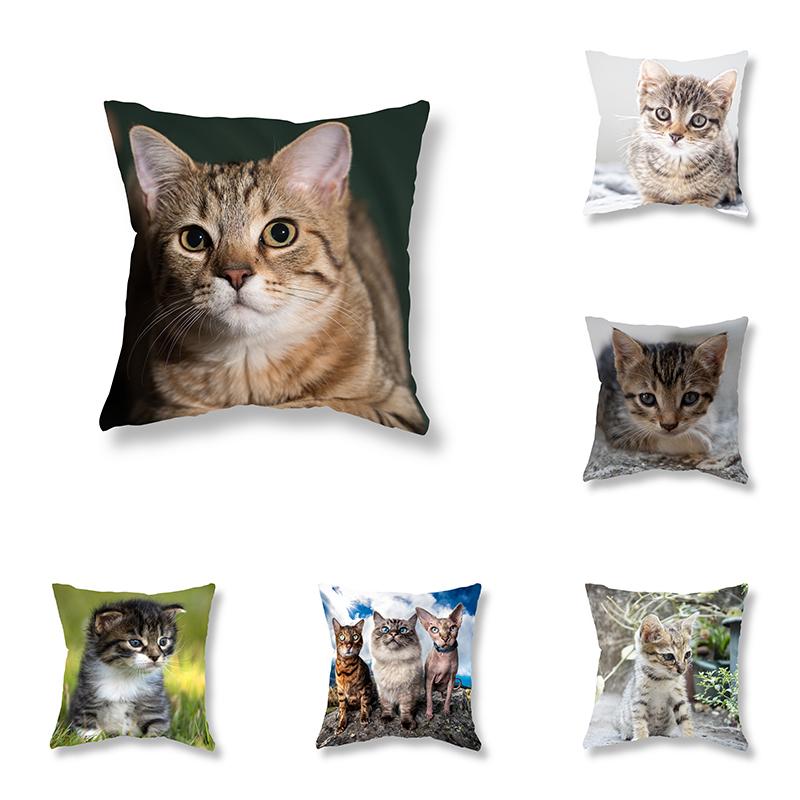 

Милый котенок животное Наволочка Диван Украшение Офисная игра Стул Чехол для подушки Кавайная комната Прикроватная тумба Домашний декор Наволочка