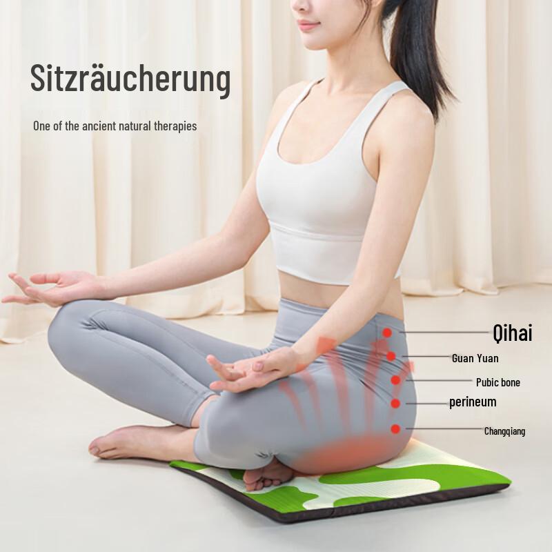 

Electric Moxibustion Heating Seat Cushion