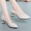Work Shoes Single Order Shoes Women's Leather Shoes Pointed Toe Thick Heel Versatile Shallow Mouth Women's Shoes