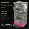 Large Parrot & Bird Cage for Budgies, Peonies, Wrens, Starlings & More