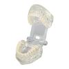 Transparent Dental Model Clear Structure Educational Dental Teeth Display Model for Dental Clinic