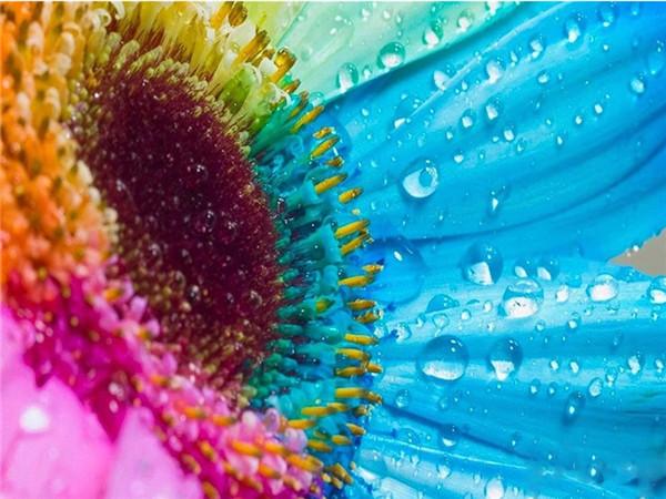 5D DIY Diamond Painting Sunflower Full Drill Round Needlework Art Diamond Embroidery Cross Stitch Kit Home Decoration