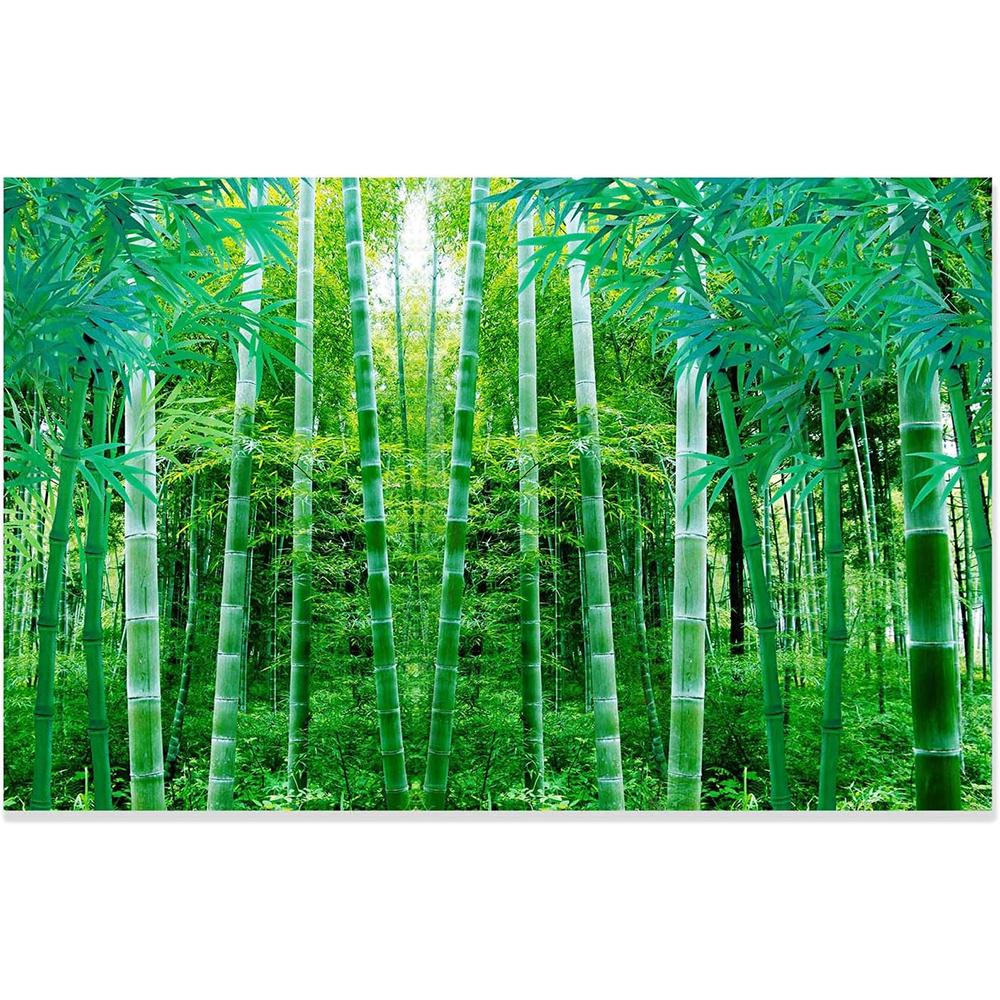 Bambusové tapety Přírodní krajina Bambus Fototapeta 3D Krajina Fototapeta Ložnice Obývací pokoj Fototapeta