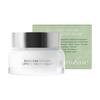 [STEAMBASE] Roseherb Volume Lifting Youth Cream 50ml