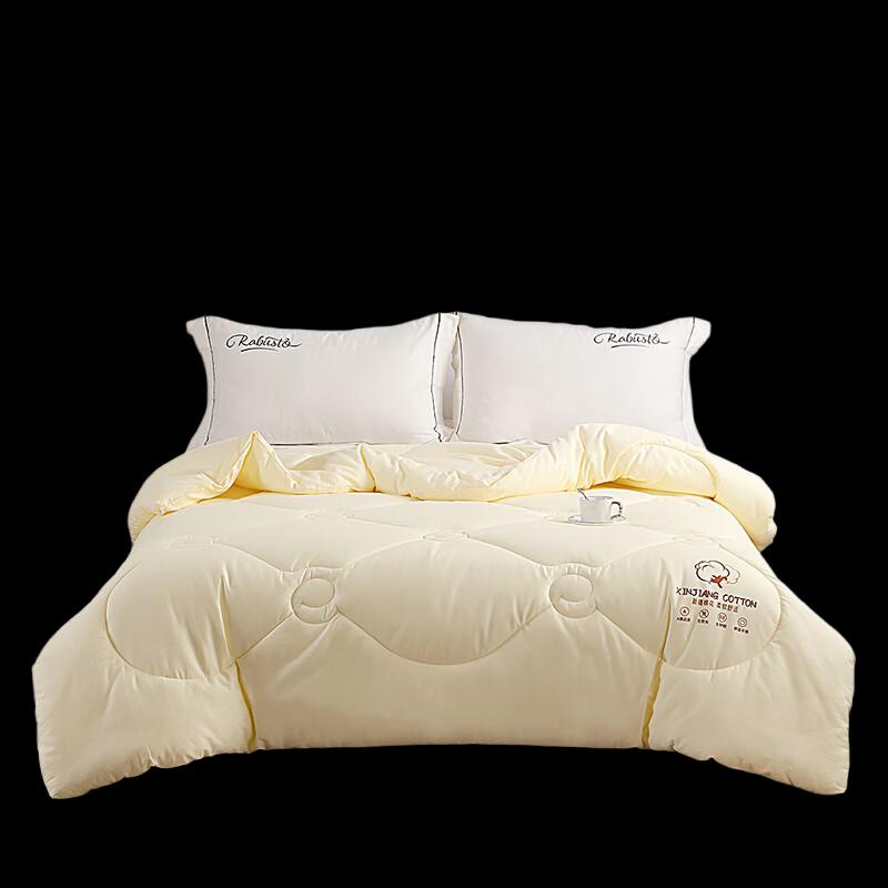 

Jellyya All-Season Polyester Quilt