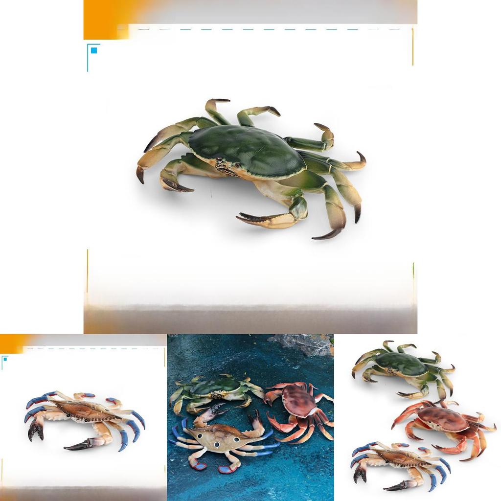 Marine Life Crab Replica For Kids Learning Aquarium Decoration Pvc Collectible