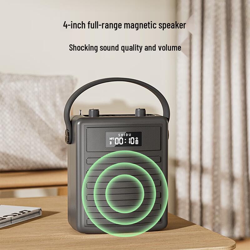 SHIDU H11 Portable Outdoor Bluetooth KTV Speaker CN plug (adapter included)