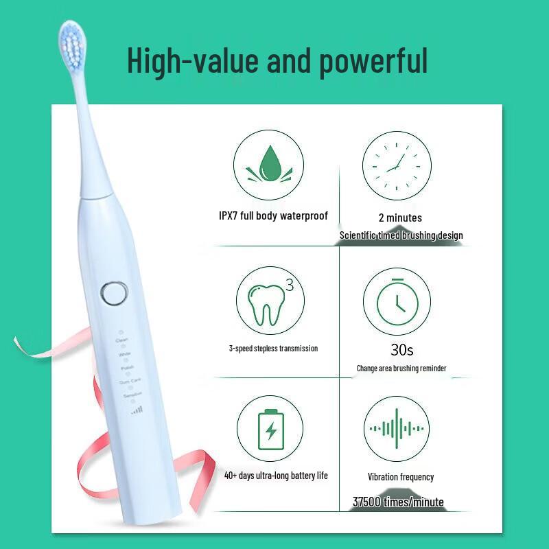 Shangheng SHZH-039 Sonic Electric Toothbrush CN plug (adapter included)
