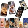 For Samsung Galaxy A25 A37 A57 A12 A14 A31 A41 A50 A51 A70 A71 A72 A21S A04 M15 Note 20 9 8 10 Phone Cover Case Pomeranian Dog