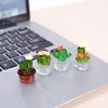 Creative Simulation Cactus  Plant Decor Transparent Fleshy Car Computer Decoration Ornaments Decorative Crafts Home Accessories