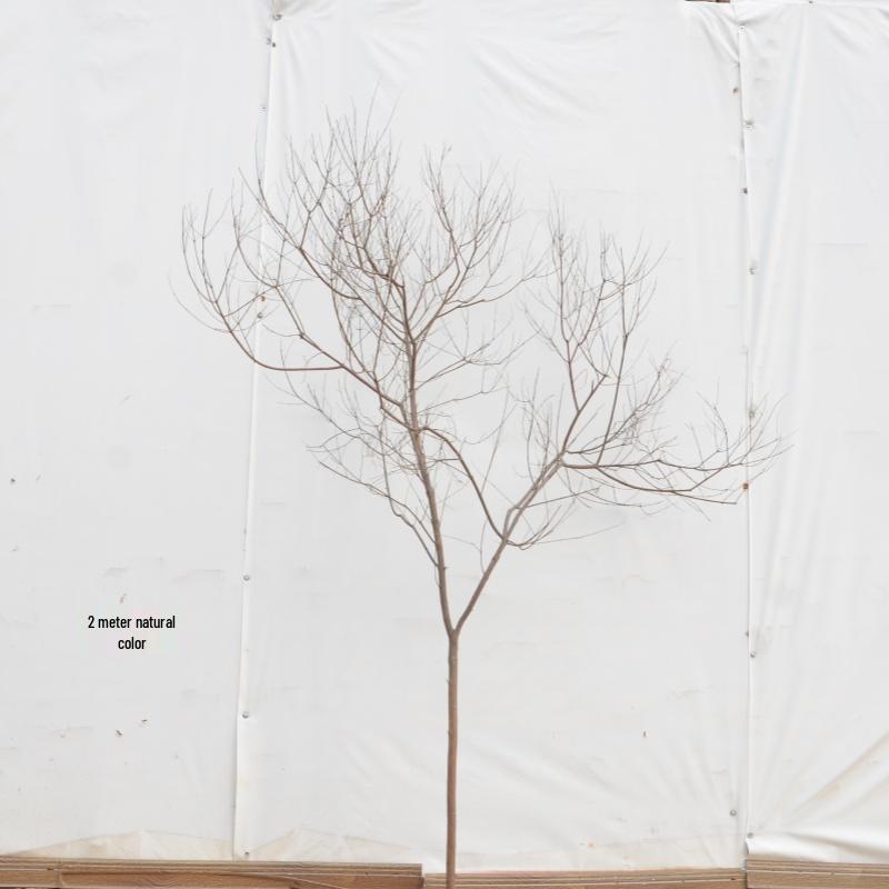 Künstlicher Baumzweig und Stamm Dekorationsstück