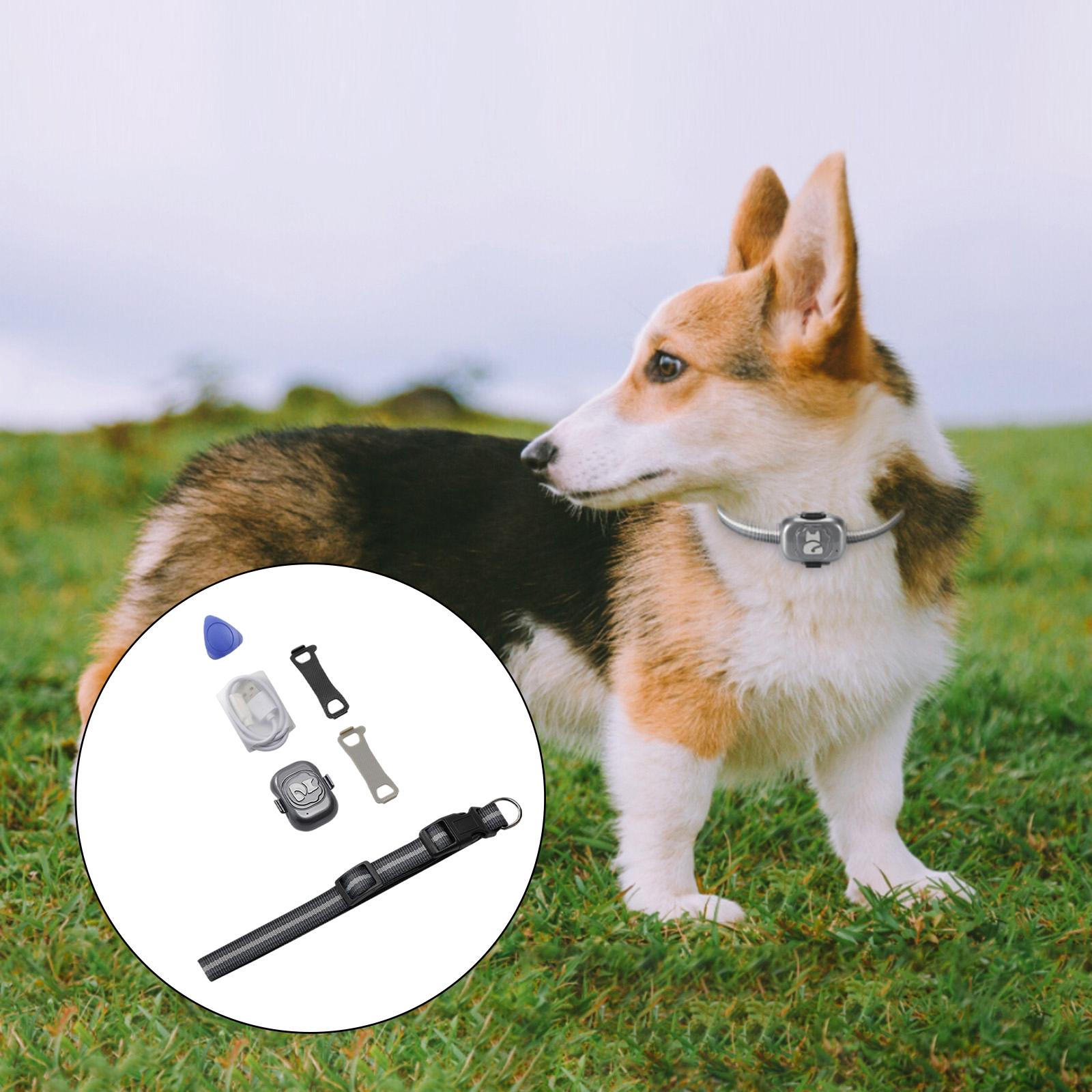 

Водонепроницаемый ошейник для собак, , Устройство