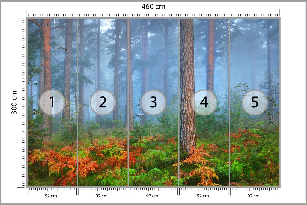 Fototapeta Les v mlze, netkaná, 460x300