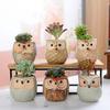 Owl Flower Pot Animal Flower Pot Mini Thumb Ceramic Flower Pot Owl Set Succulent Pot