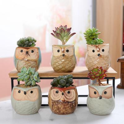 Owl Flower Pot Animal Flower Pot Mini Thumb Ceramic Flower Pot Owl Set Succulent Pot