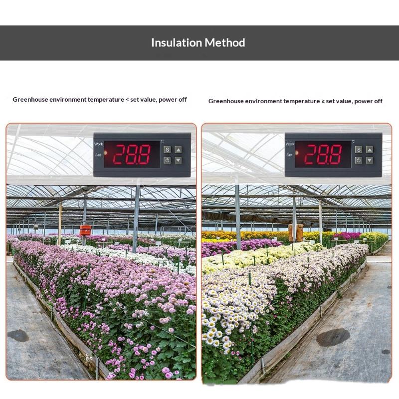 Dual Digital Thermostat Temperature Humidity Control 1210W Thermometer Hygrometer Incubator Controller 220V 12V 24V
