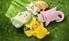 Pokémon Center Original Soft Plush Toy, Pokémon Sleep, Goodnight Pikachu, 35.5 X 30 X 15 Cm (H X W X D)