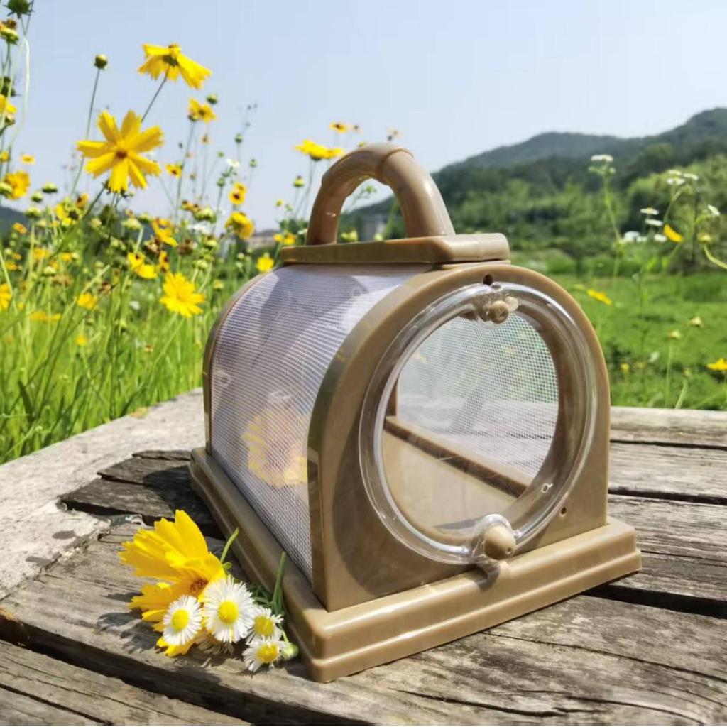 Portable Insect Observation Cage for Butterflies, Silkworms, and Bees