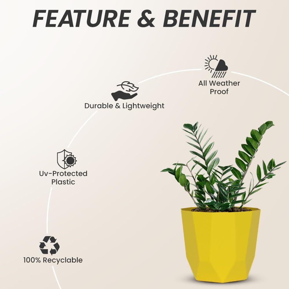 Hexa 8 Inch Pack of 3 Piece Plastic Plant Pot for Home Decor Indoor Plant Pots for Living Room Plastic Flower Pot for Garden (Yellow)