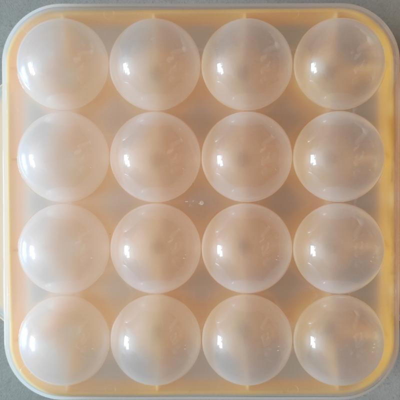 Shake Meatball Mold Fish Balls Beef Balls Mold Meat Tools Kitchen Accessories Gadgets Meatball Maker Rice Ball Maker
