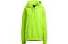 adidas Ivy Park Halls Of Ivy Kinder Cargo Hoodie Unisex HK2840